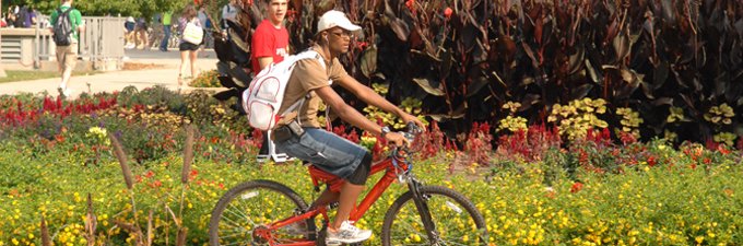 biker on campus during the summer